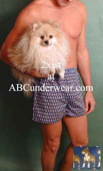 2xist Boxer Shorts