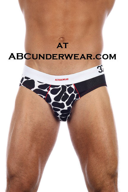 3G Safari Brief