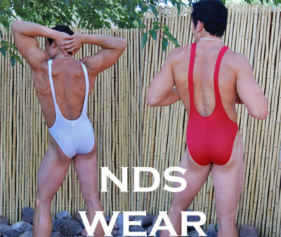 Alexandre's Microfiber Mens Bodysuit - BLOWOUT SALE!