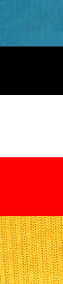 Assorted Ribbed Tank Top