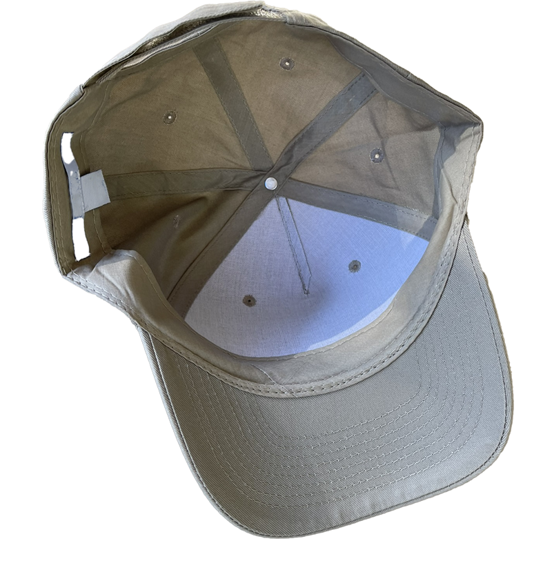 DIQ Hat Cap