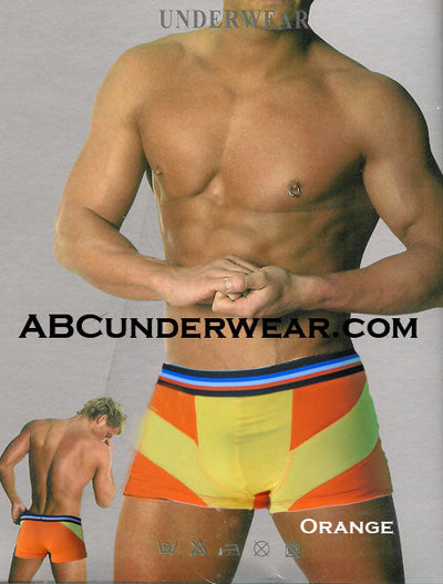 European Stripe Boxer