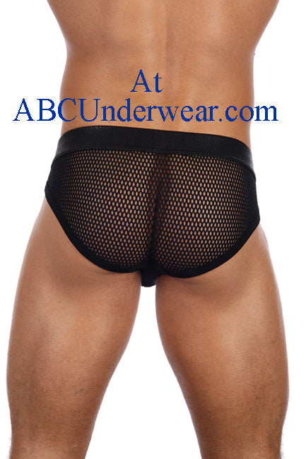 Gregg Homme Appolo Brief