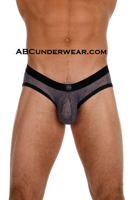 Gregg Homme Tigers Brief - Closeout