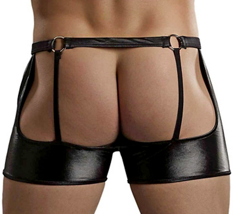 Male Power Garter Trunk