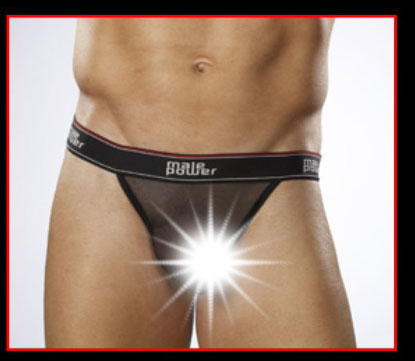 Male Power Sheer Mustang Bikini Underwear