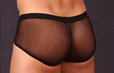 Net Brief N2N