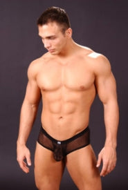 Net Brief N2N