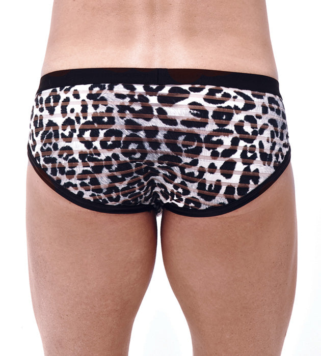 Predator Brief