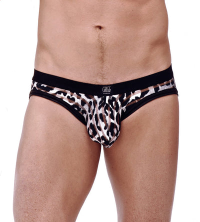 Predator Brief