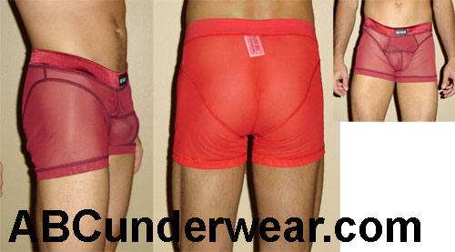 Sheer Net Boxer