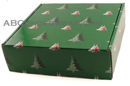 Ship in a Gift Box
