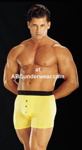 Silk Boxer Brief