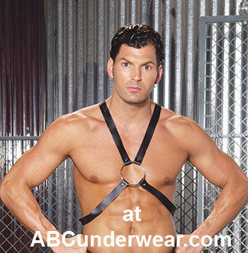 Leather Harness