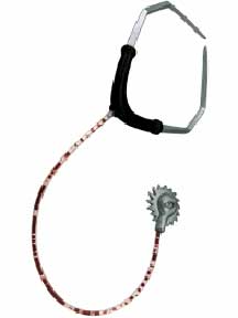 Stethoscope