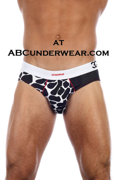 3G Safari Brief