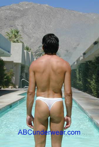 Elegant Sheer Mesh Thong for a Sensual and Sophisticated Appeal