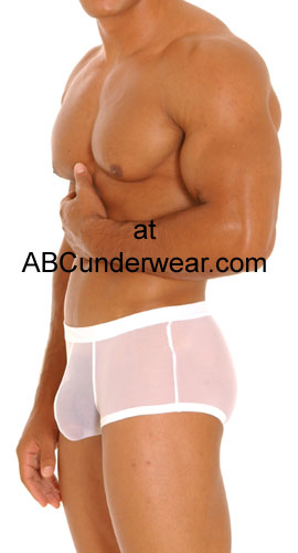 Greg Parry Sheer Eros Pouch Boxer Clearance
