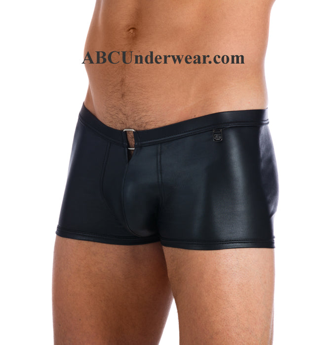 Gregg Homme Fuel Boxer