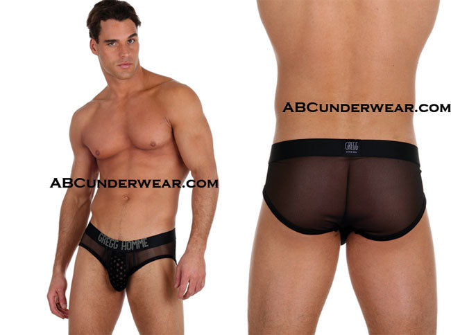 Gregg Homme Sky Brief