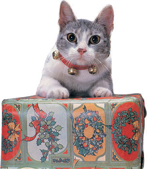 Jingle Bell Cat Collar