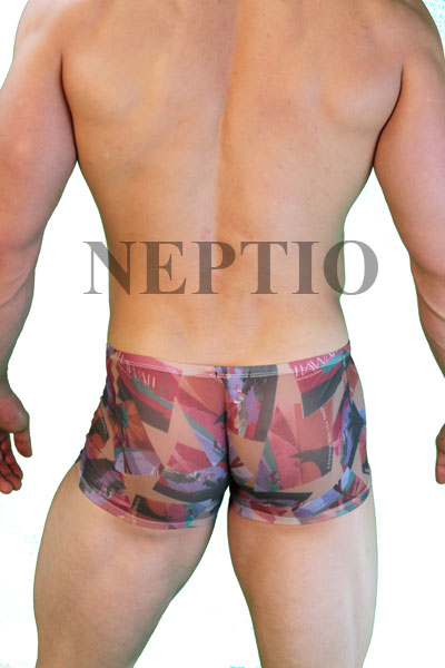 Pacific Shores Net Pouch Short