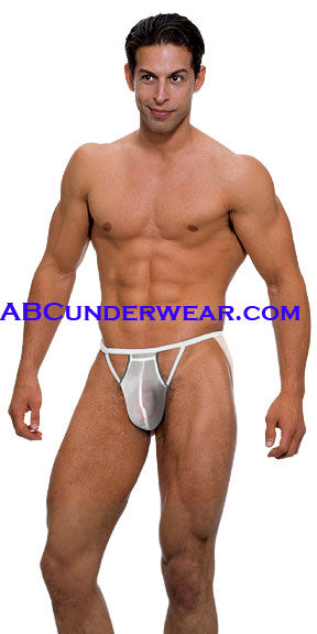 Slip Sheer Brief